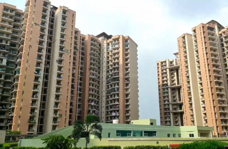 Pan Oasis, Noida